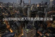 p站官网网址进入场景选择建议实操