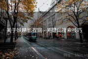 关于妖精影视网 - 关键词搜索技巧