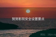 努努影院安全设置要点