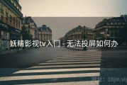 妖精影视tv入门 - 无法投屏如何办