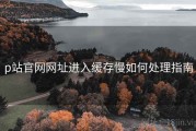 p站官网网址进入缓存慢如何处理指南