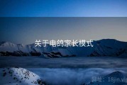 关于电鸽家长模式