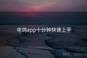 电鸽app十分钟快速上手