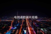 电鸽通勤碎片观看