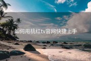 如何用桃红tv官网快捷上手