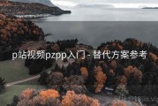 p站视频pzpp入门 - 替代方案参考