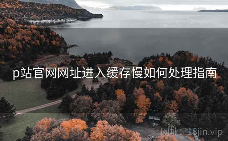p站官网网址进入缓存慢如何处理指南
