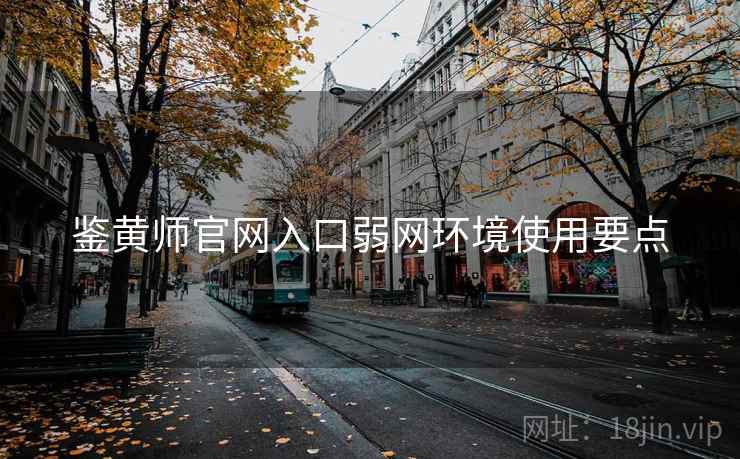 鉴黄师官网入口弱网环境使用要点