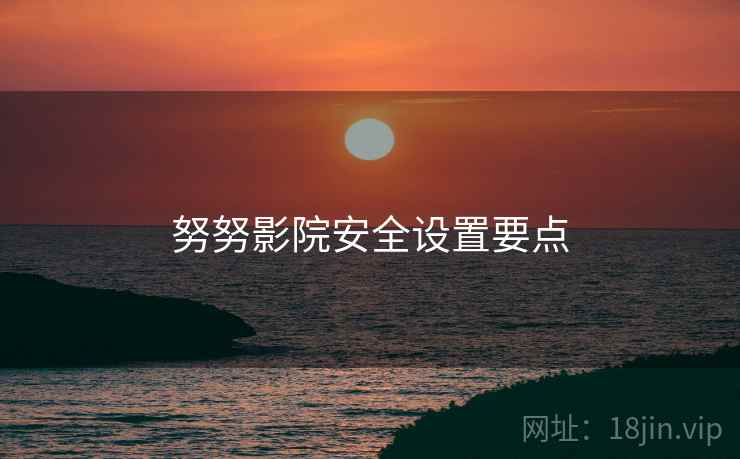 努努影院安全设置要点