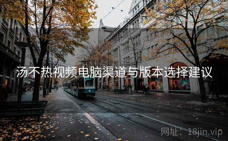 汤不热视频电脑渠道与版本选择建议