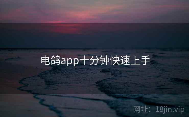 电鸽app十分钟快速上手