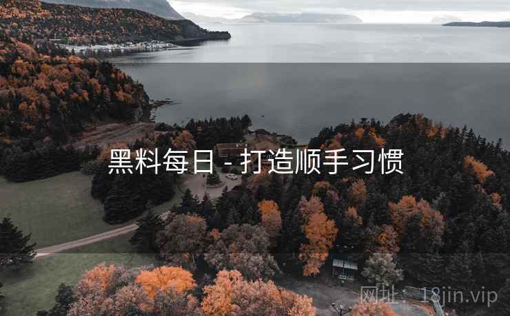 黑料每日 - 打造顺手习惯