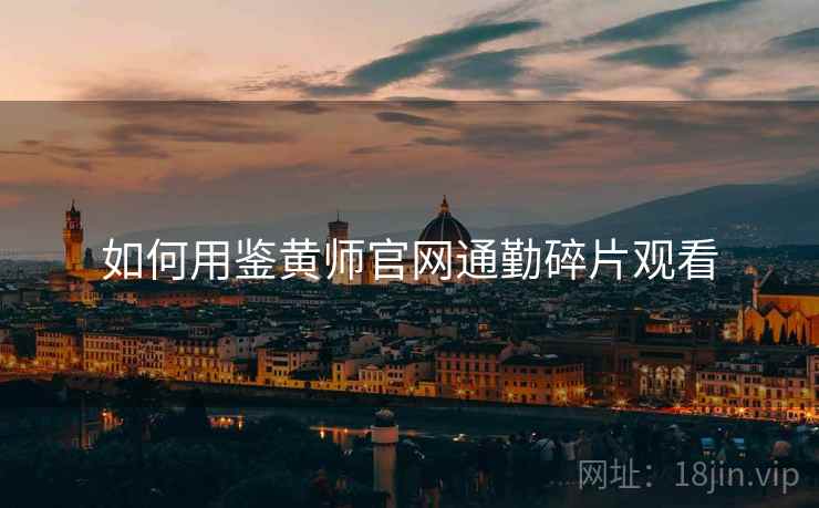 如何用鉴黄师官网通勤碎片观看