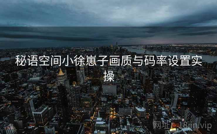 秘语空间小徐崽子画质与码率设置实操
