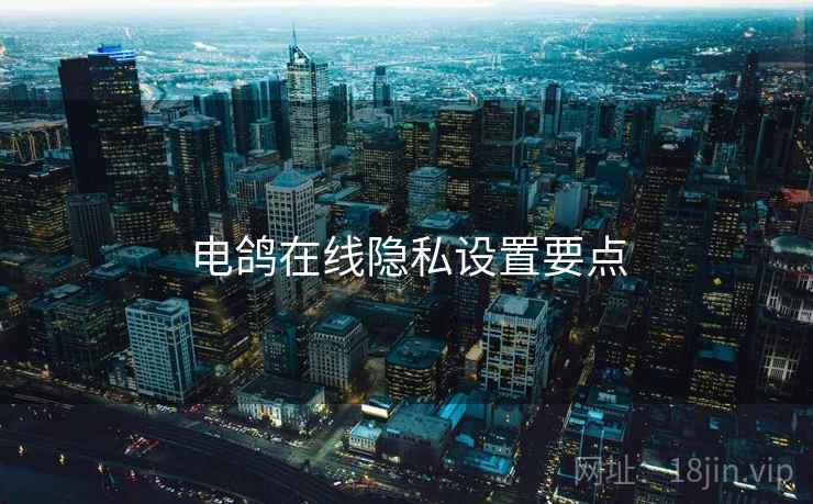 电鸽在线隐私设置要点