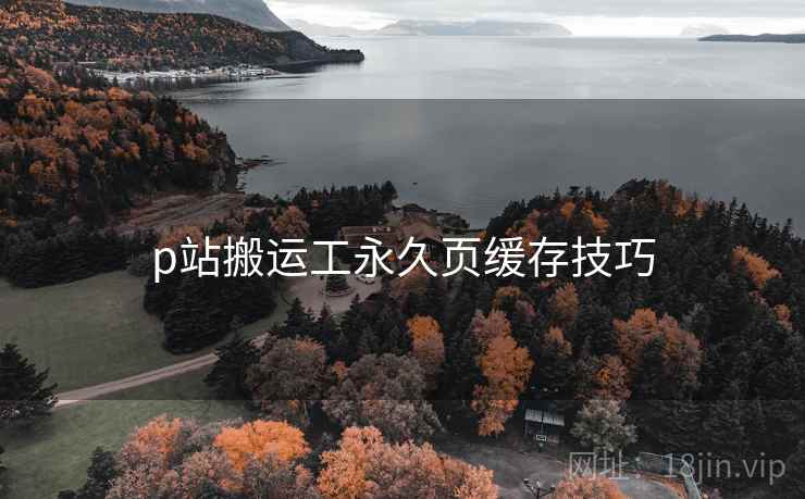 p站搬运工永久页缓存技巧