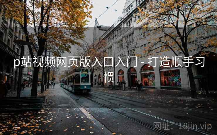 p站视频网页版入口入门 - 打造顺手习惯