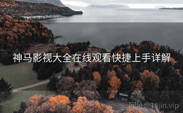 神马影视大全在线观看快捷上手详解