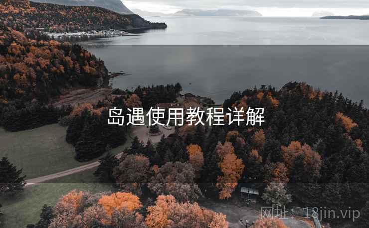 岛遇使用教程详解