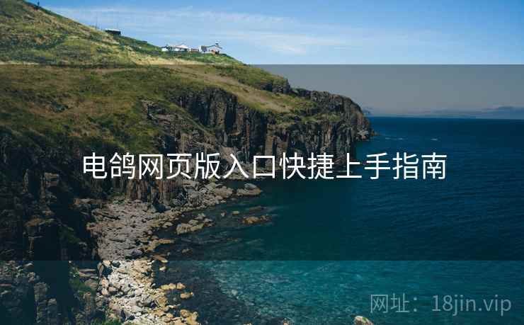电鸽网页版入口快捷上手指南