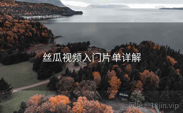 丝瓜视频入门片单详解