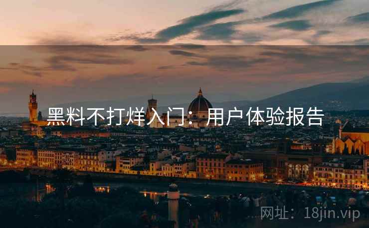 黑料不打烊入门：用户体验报告