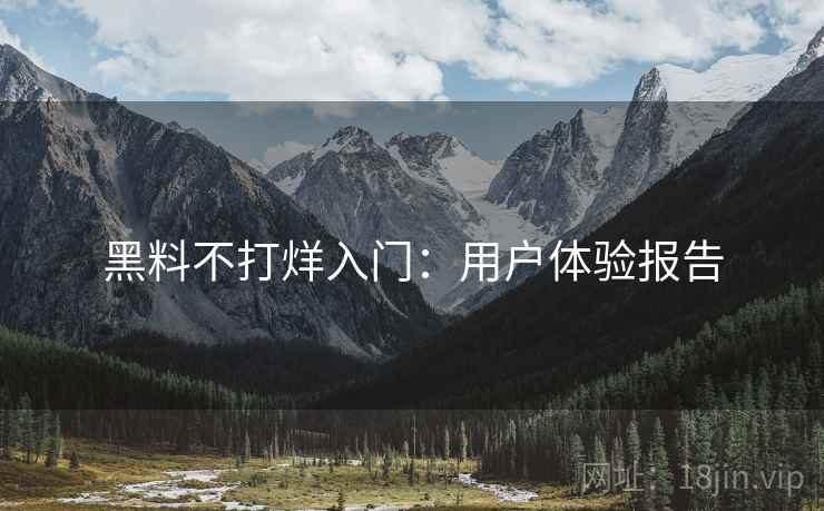 黑料不打烊入门：用户体验报告