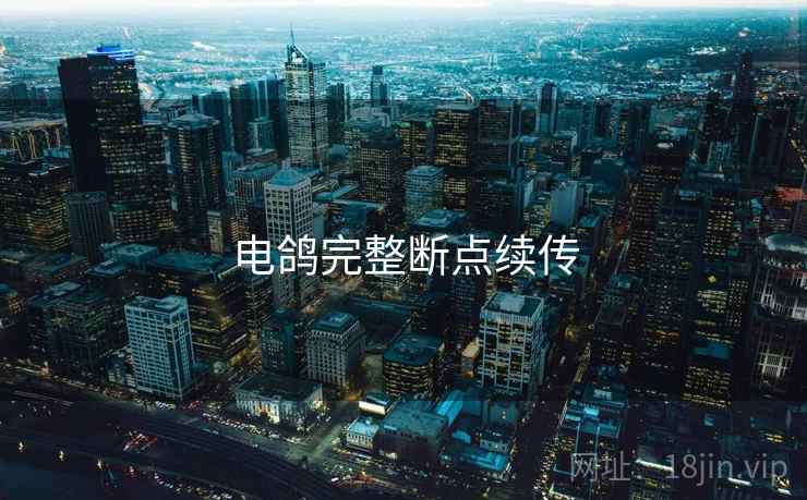 电鸽完整断点续传