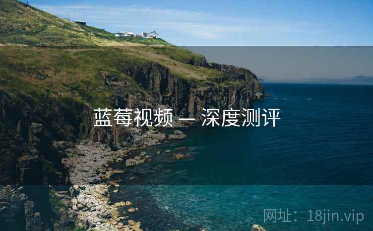 蓝莓视频 — 深度测评