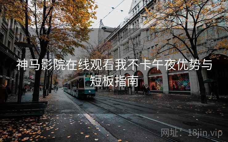 神马影院在线观看我不卡午夜优势与短板指南