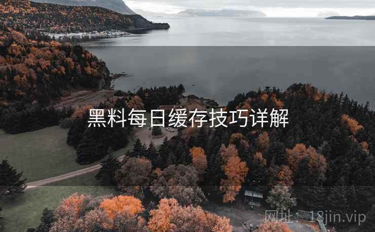 黑料每日缓存技巧详解