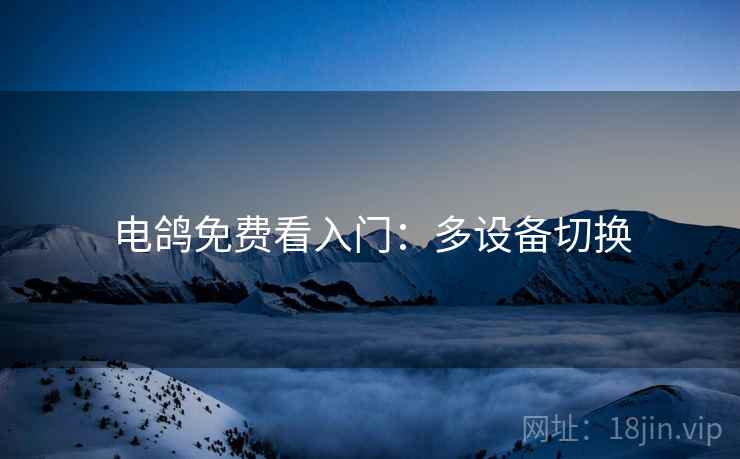 电鸽免费看入门：多设备切换