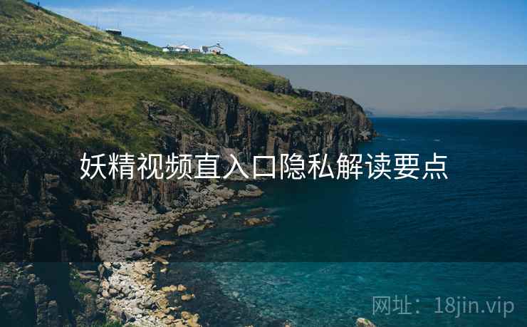 妖精视频直入口隐私解读要点