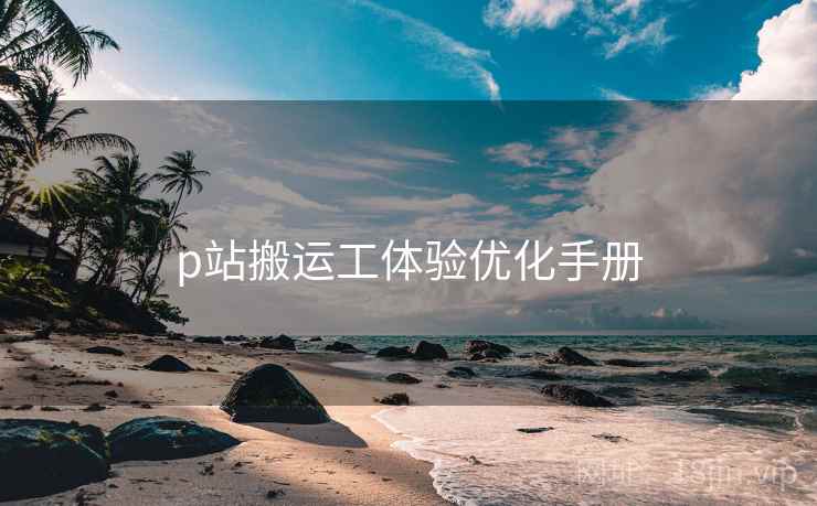 p站搬运工体验优化手册