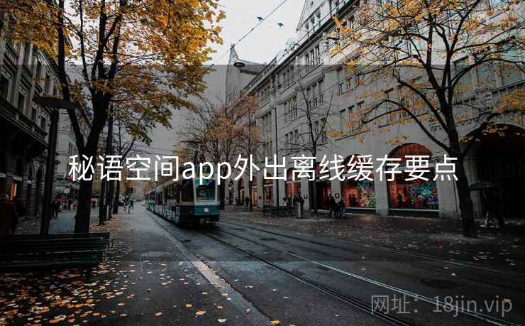 秘语空间app外出离线缓存要点